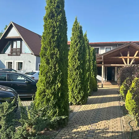 Mieta I Woda -